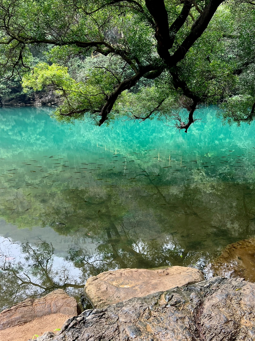 龙潭公园不用排队机位❗️｜柳州朋友圈文案