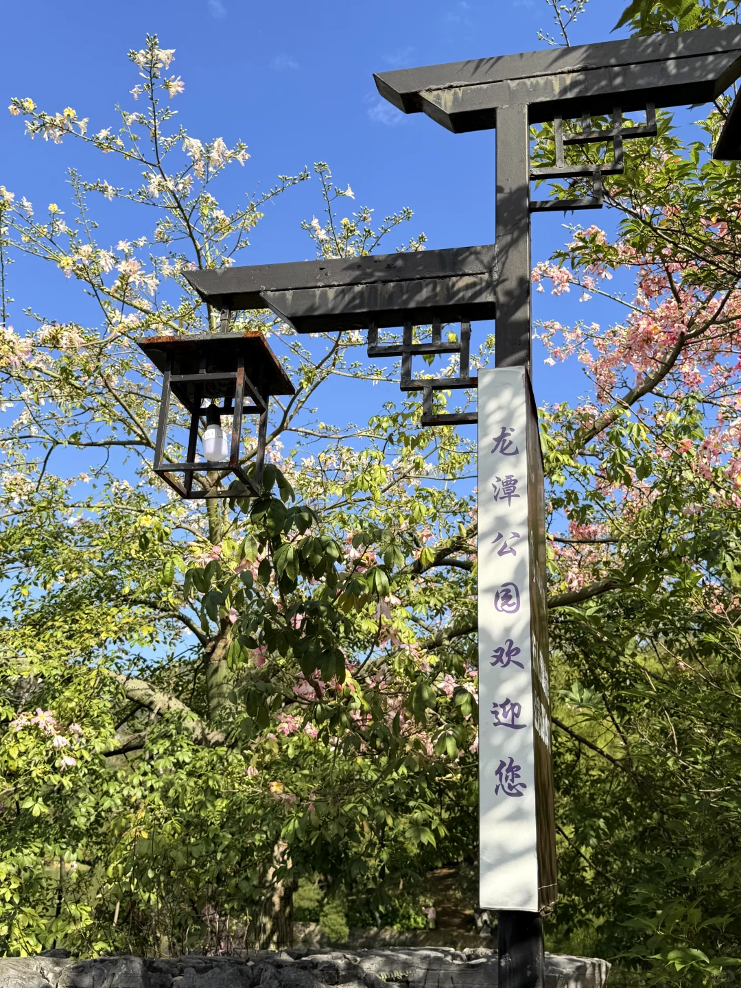 11月淡季游柳州