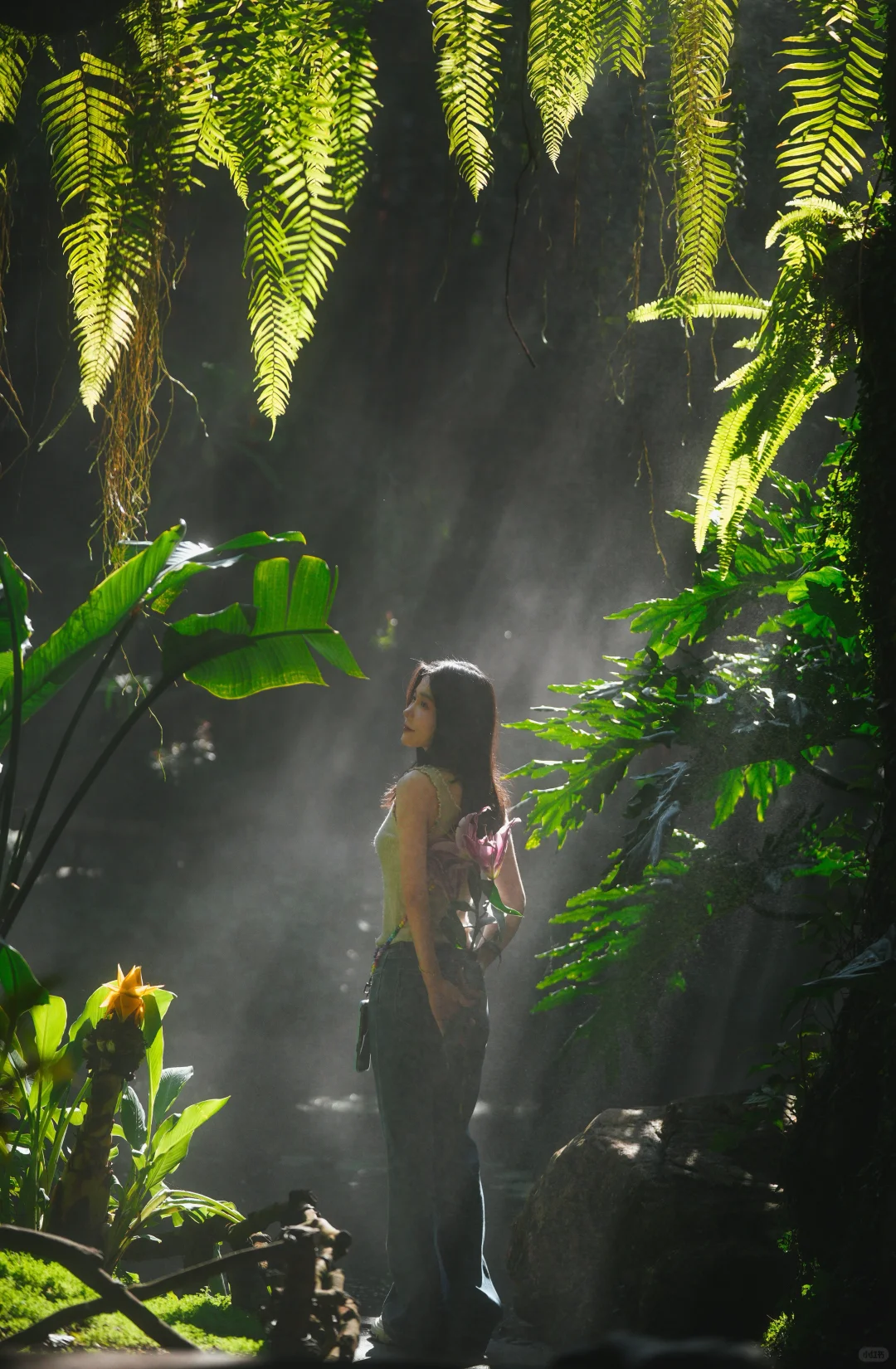 南宁青秀山约拍路线