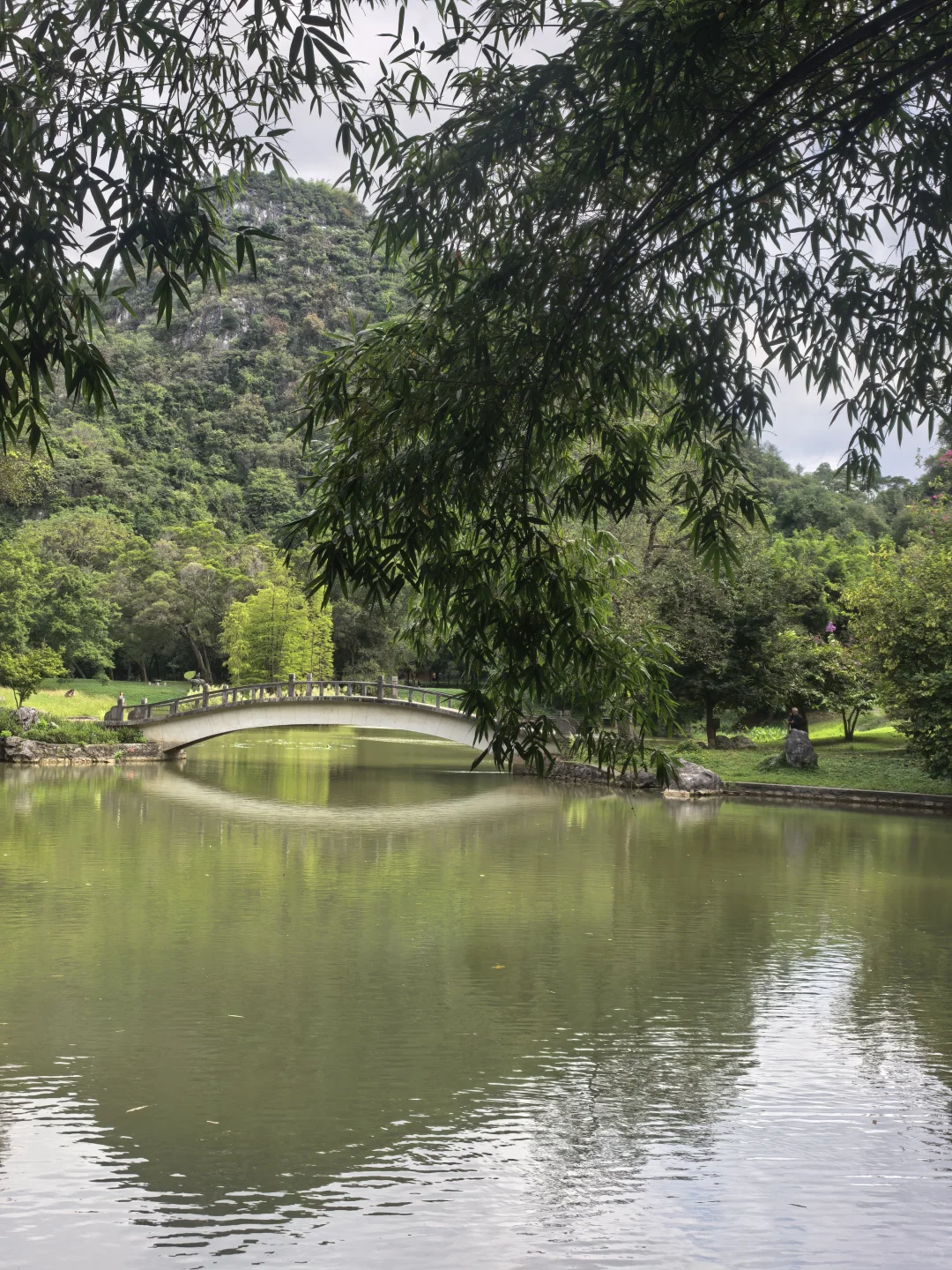 阳朔看山、柳州干饭！2天1夜特种兵行程