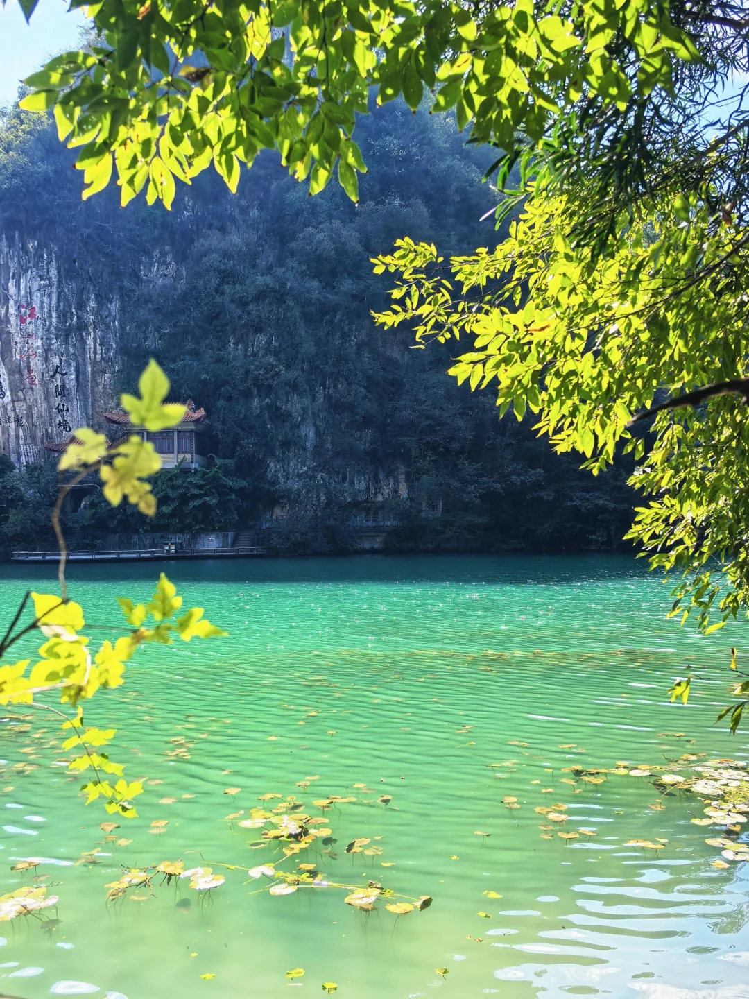 惊叹于龙潭公园的果冻水