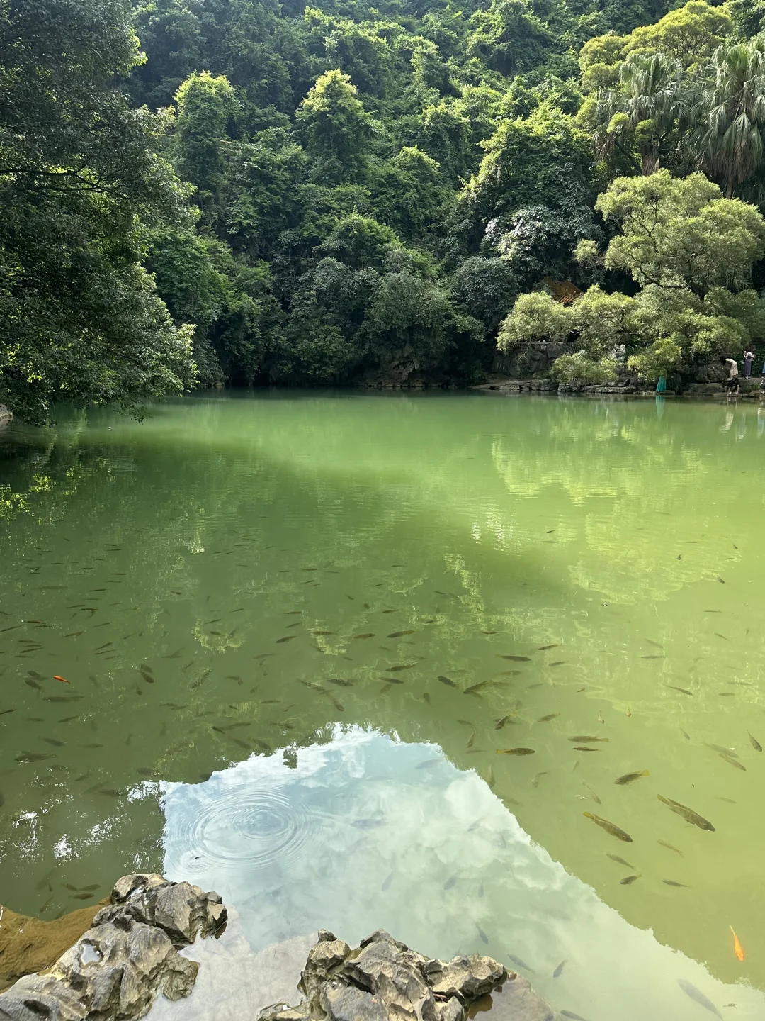 柳州三天两晚人均50️⃣0️⃣