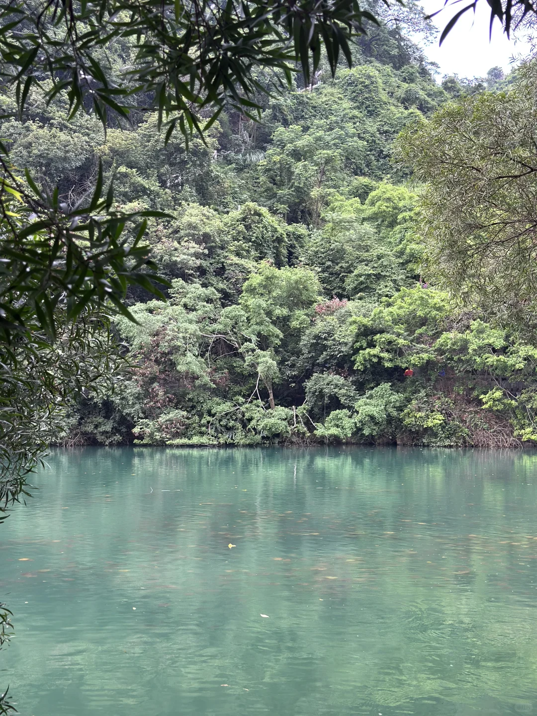 柳州｜国庆节龙潭公园竟然是免费的！！！