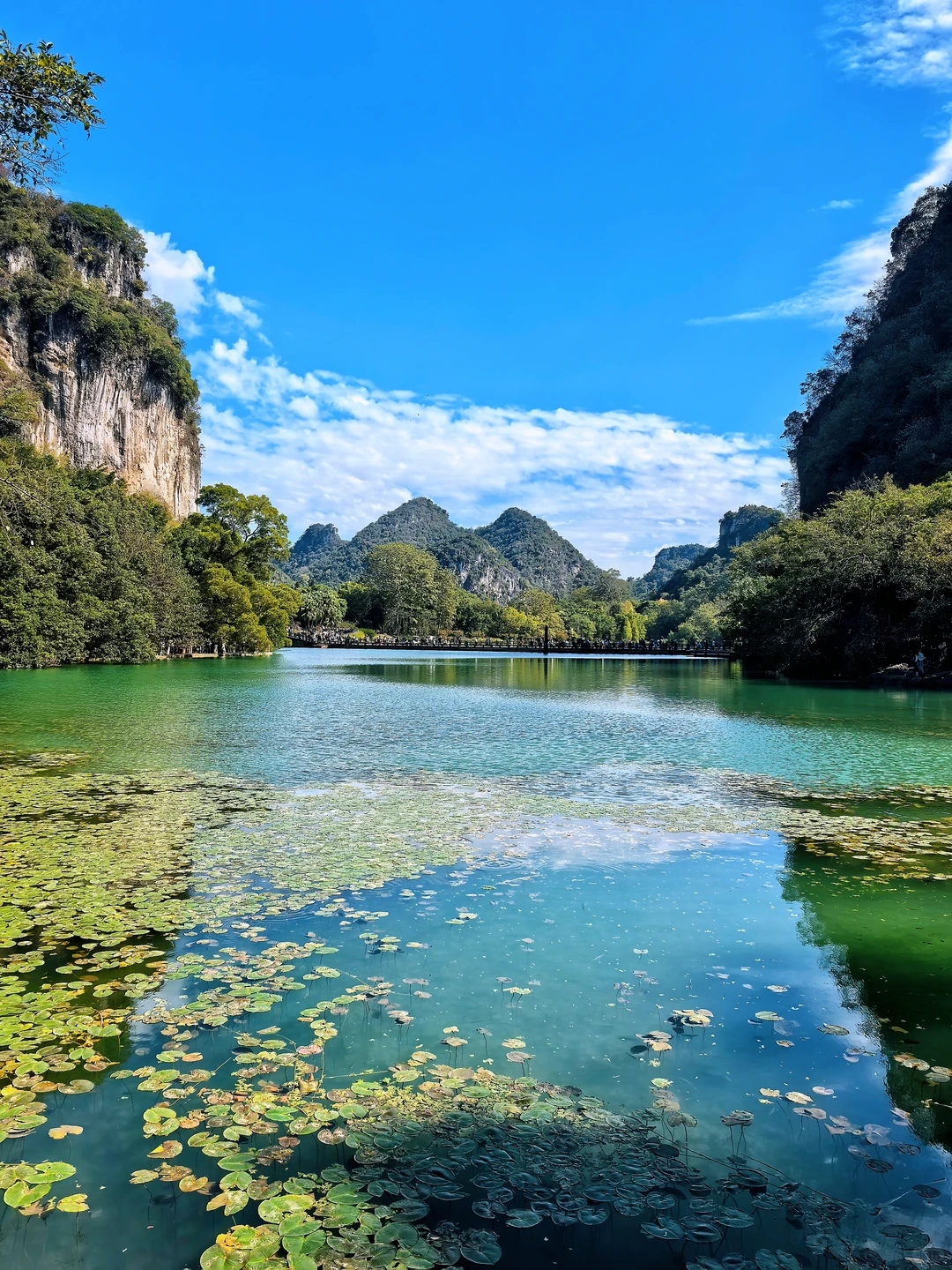 惊叹于龙潭公园的果冻水