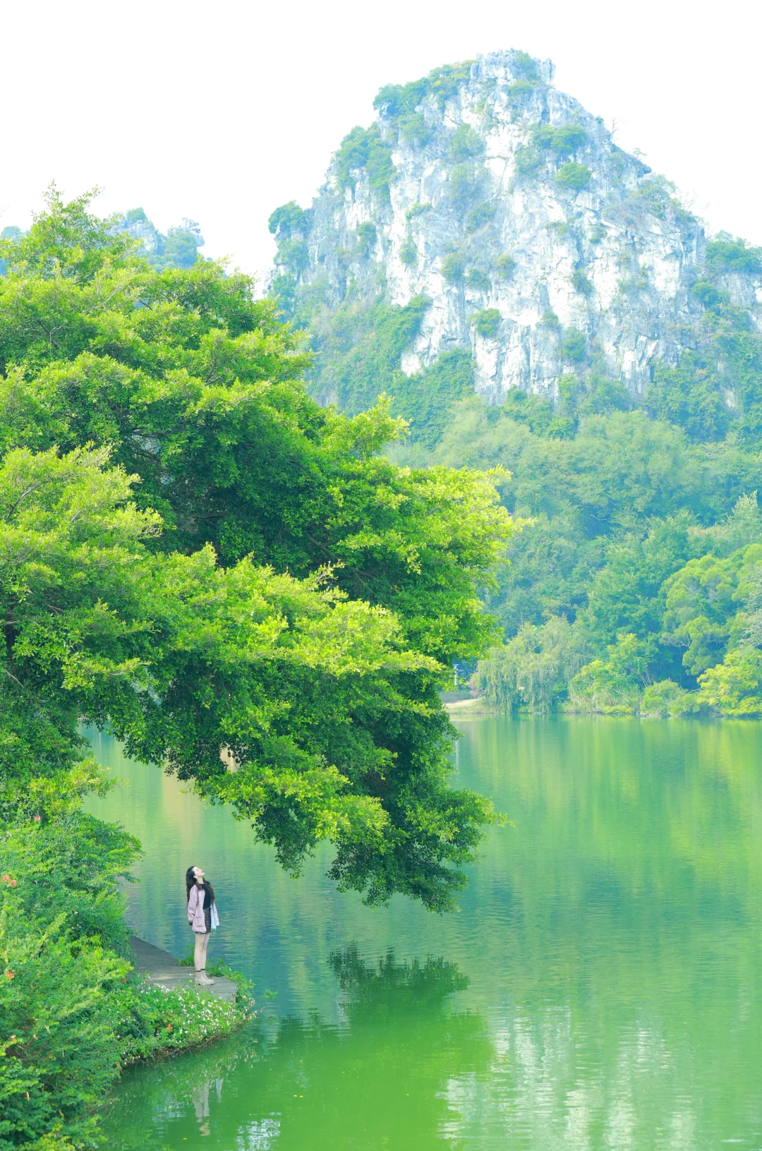 城市中竟然有那么美的天然景色