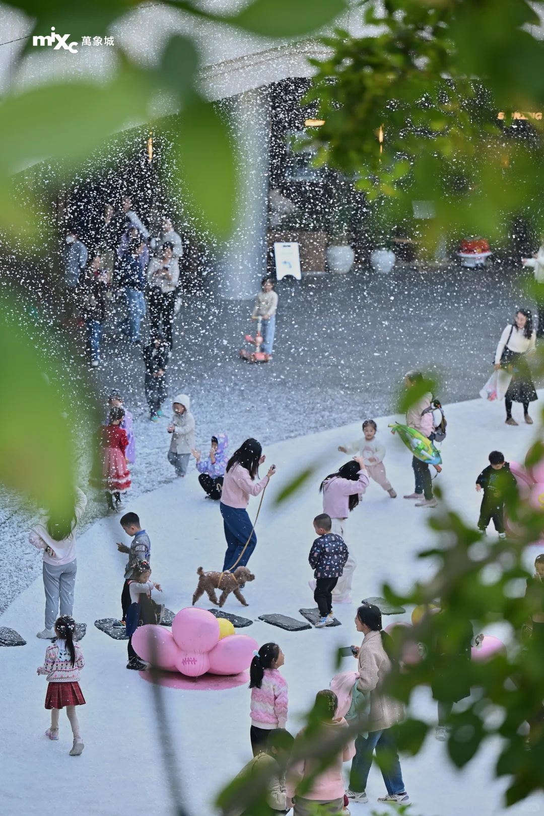 「大雪」至，柳州局部大雪！
