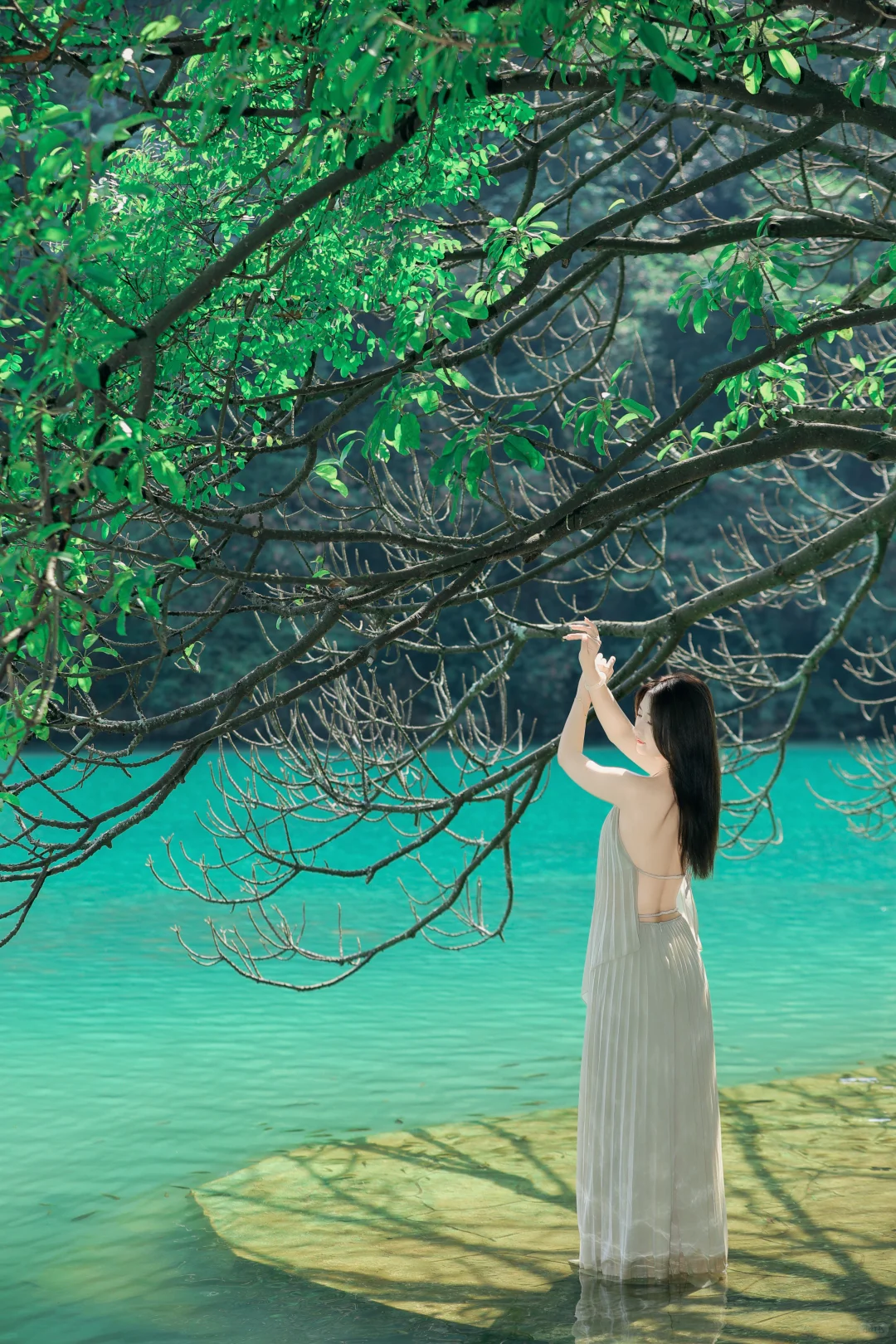 龙潭公园的松弛感｜柳州📍