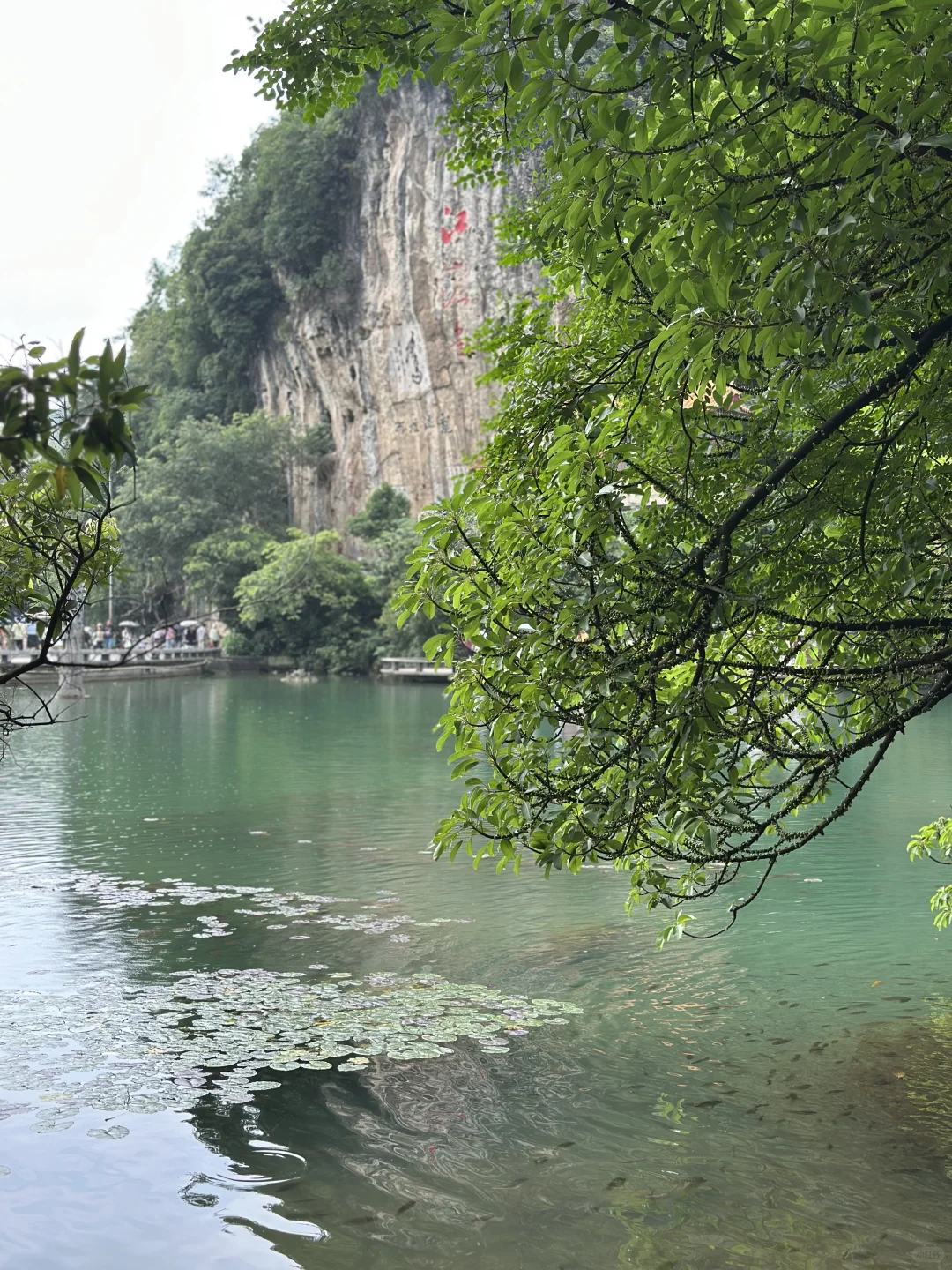 柳州｜国庆节龙潭公园竟然是免费的！！！