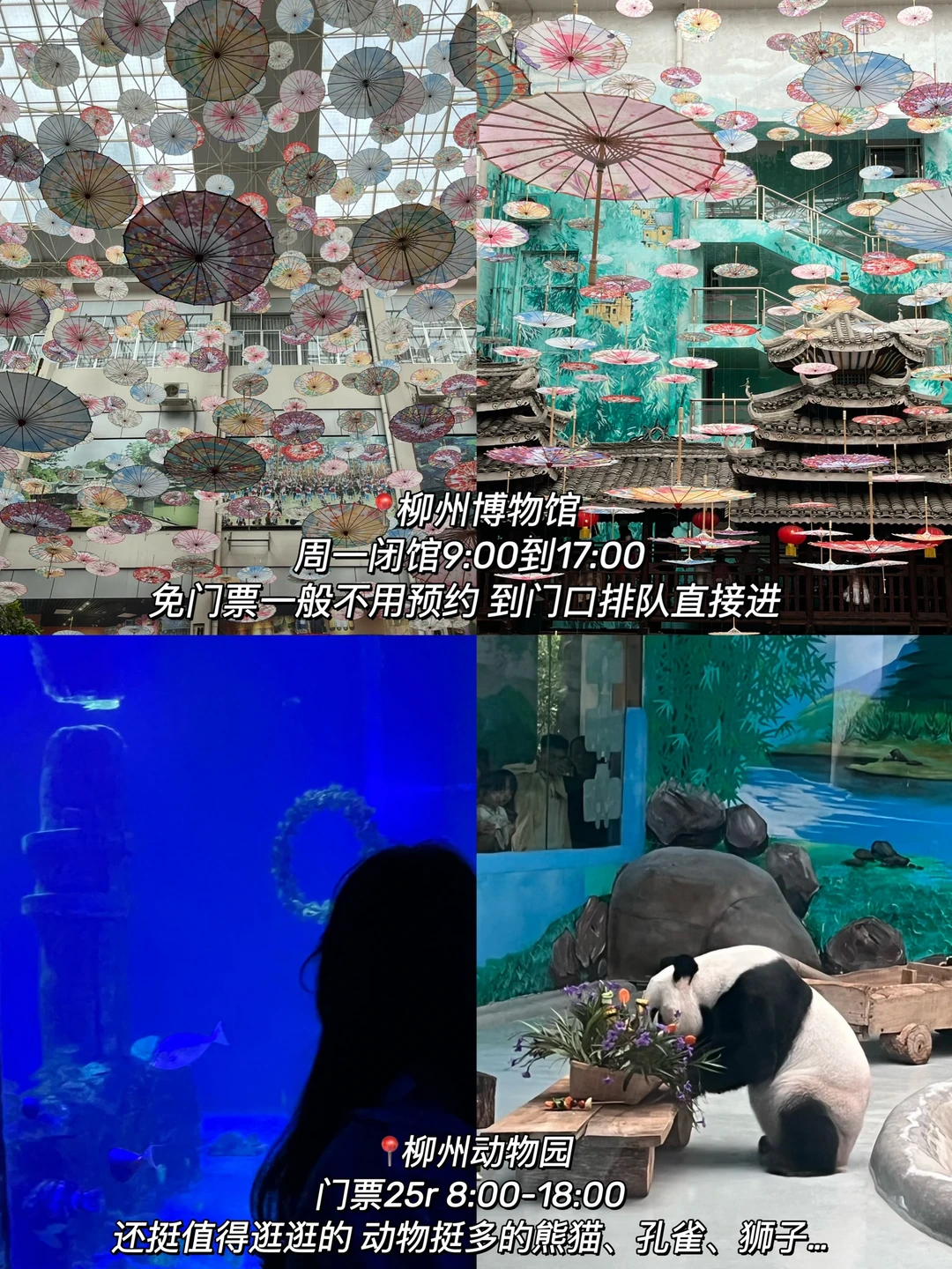 柳州！3天2夜花了800回来了…（附攻略）