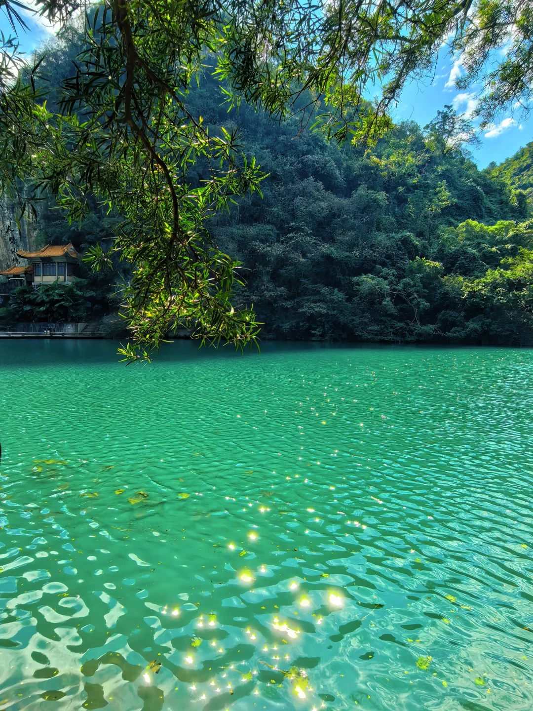 惊叹于龙潭公园的果冻水