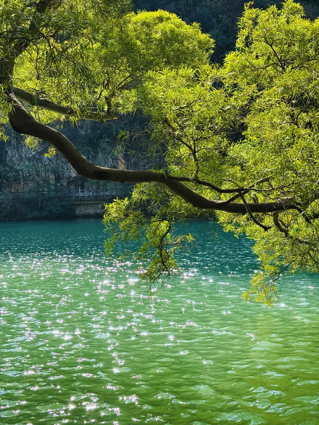 长沙周边城市打卡：柳州周末两日游