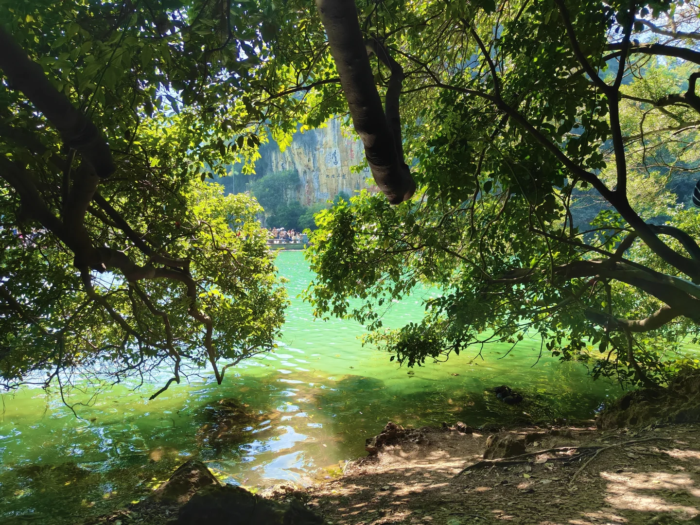 惊叹于龙潭公园的果冻水