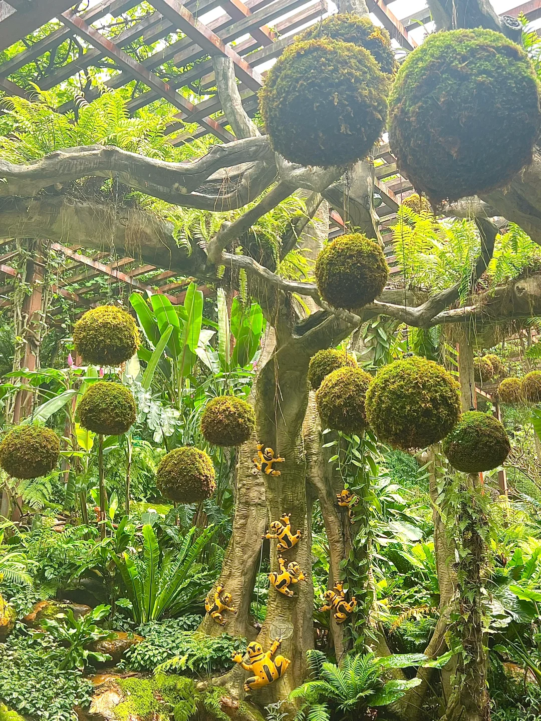 南宁 ✚ 柳州｜❸天❷晚精准打卡点攻略