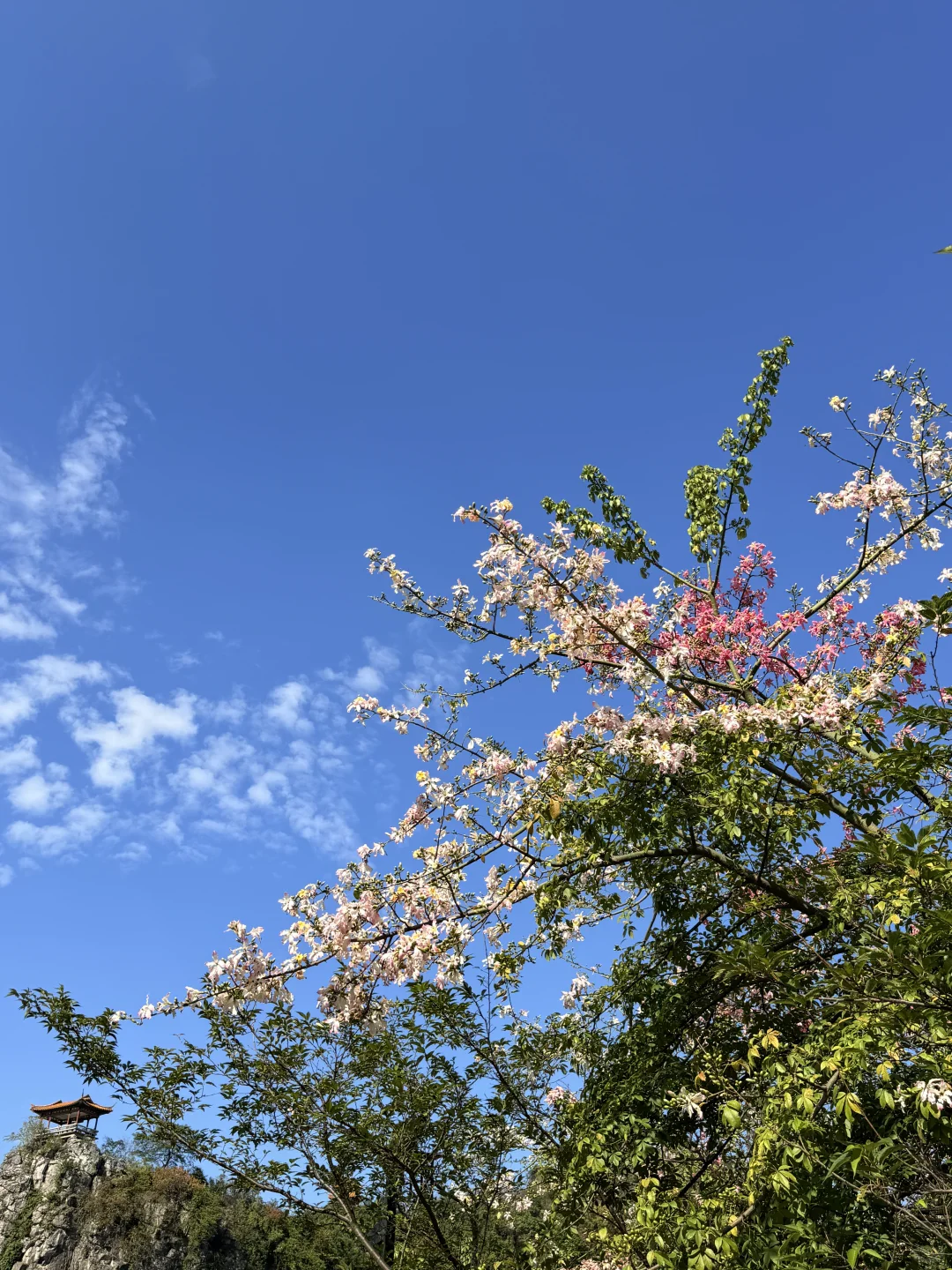 11月淡季游柳州