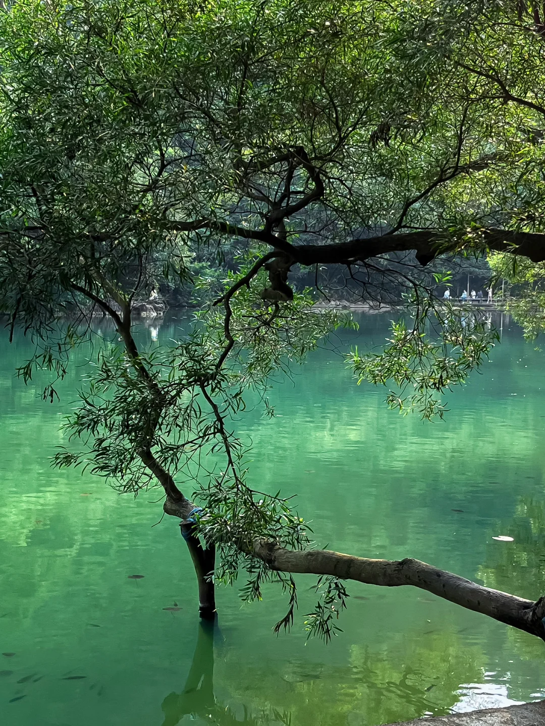 柳州！3天2夜花了800回来了…（附攻略）