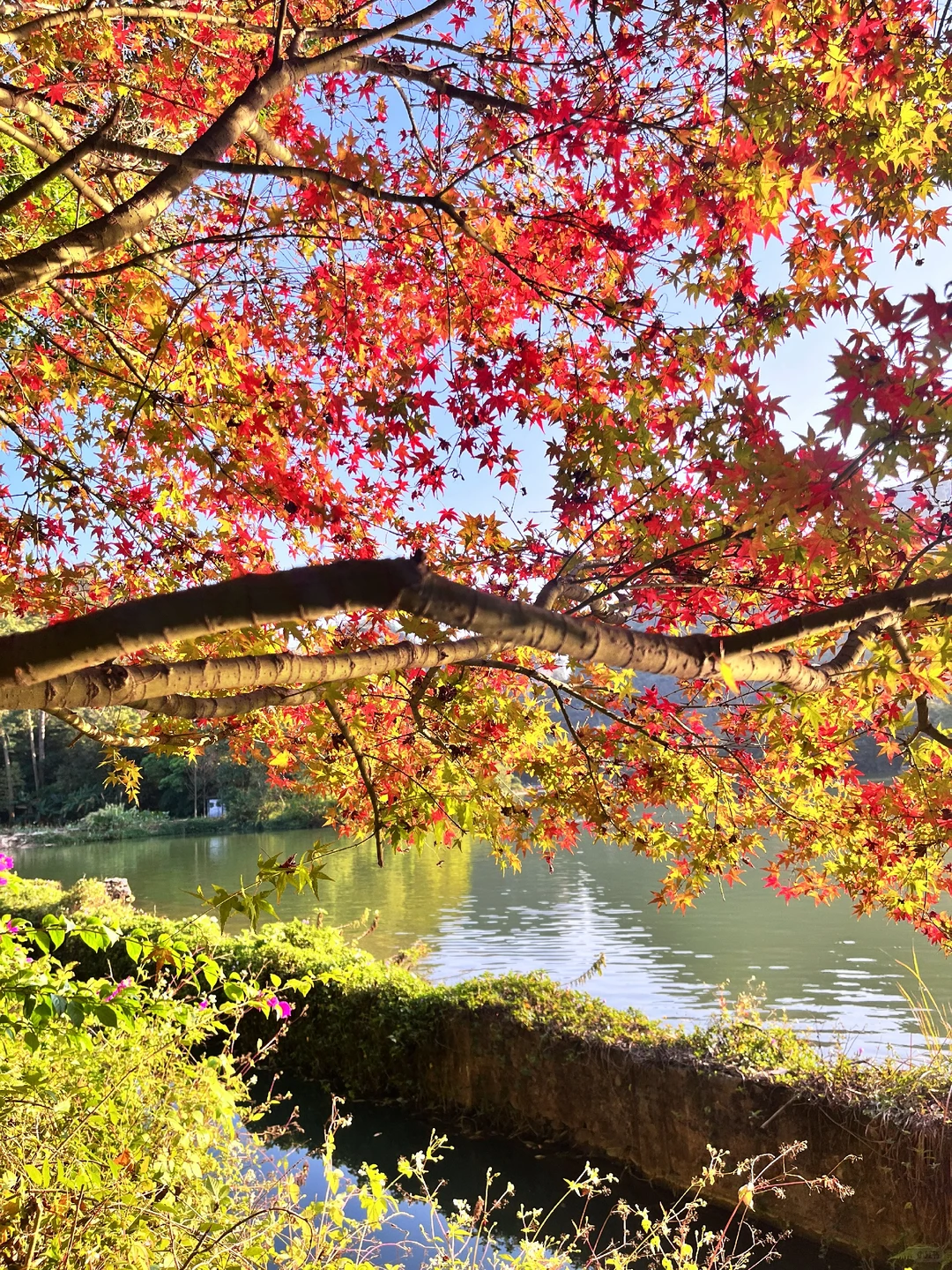 柳州龙潭太美啦啊啊啊啊啊