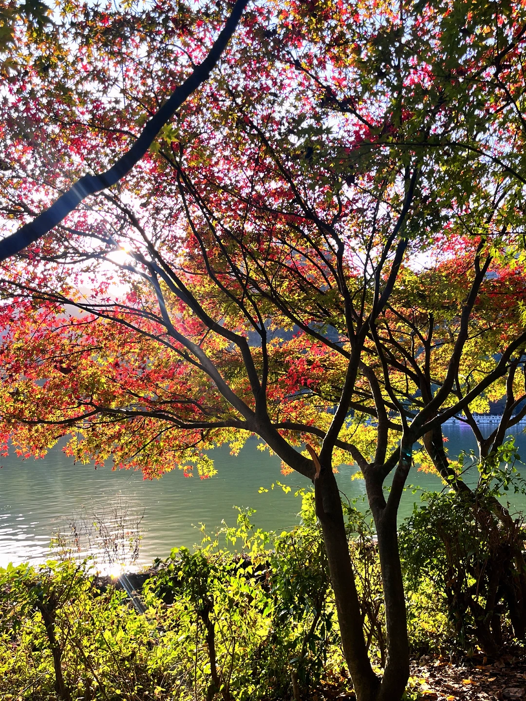柳州龙潭太美啦啊啊啊啊啊