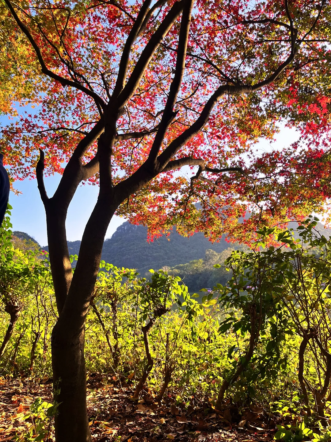 柳州龙潭太美啦啊啊啊啊啊