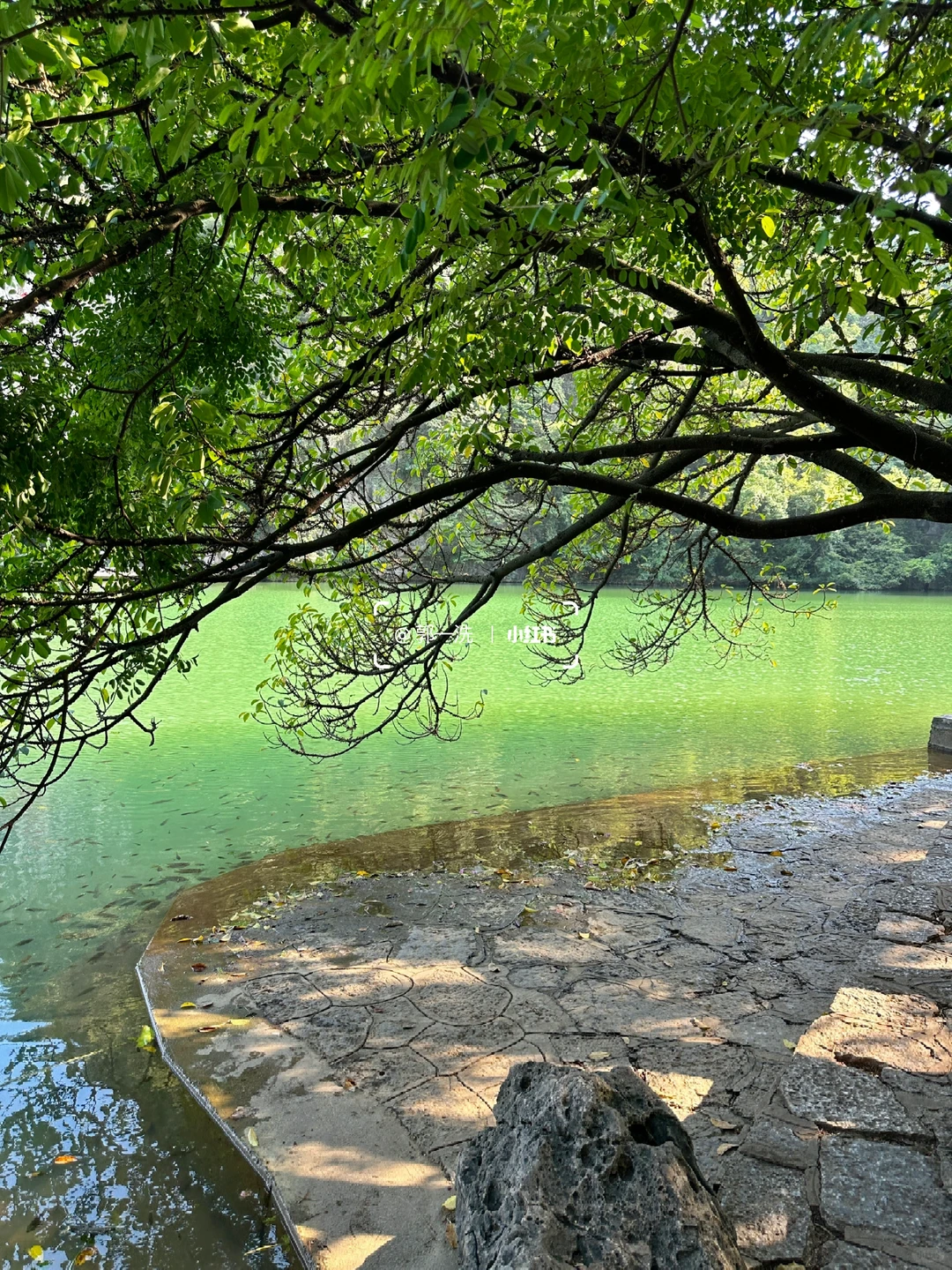 为了这个山景🌄特意来了一趟柳州！！（live版）