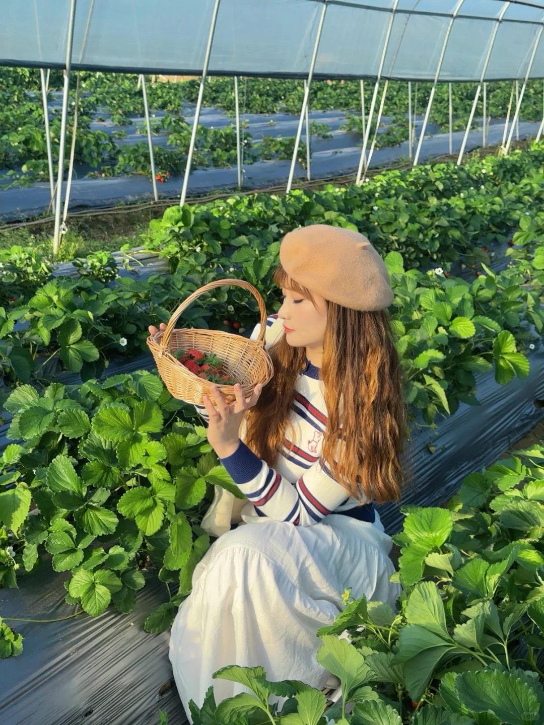 柳州、这天气太适合～摘草莓🍓了～