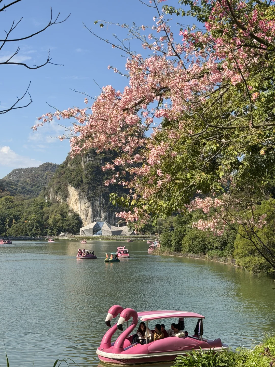 11月淡季游柳州