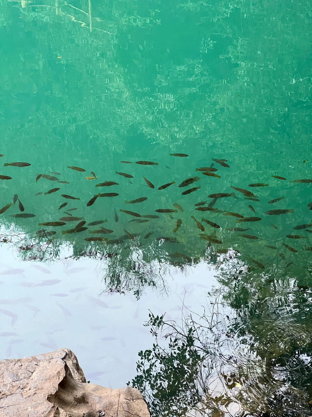 龙潭公园不用排队机位❗️｜柳州朋友圈文案