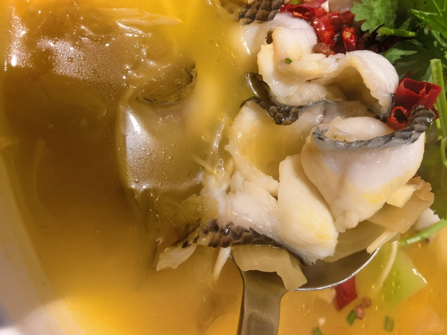 💥在柳州挖到宝藏粤菜馆