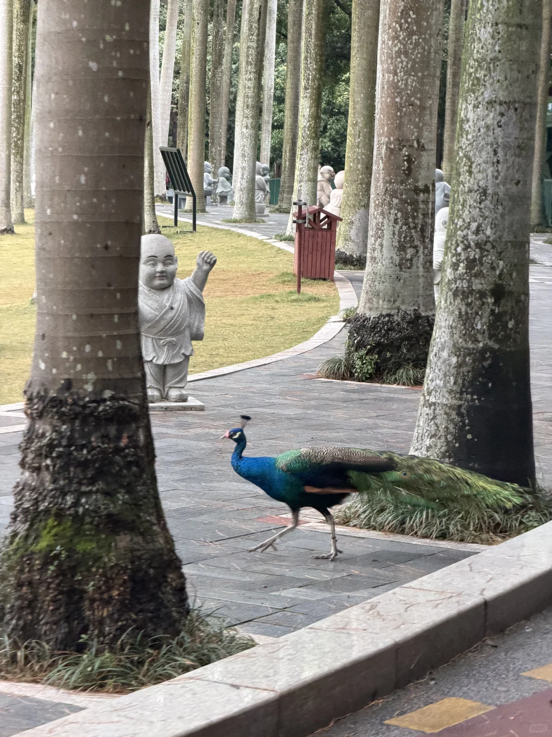 📍✅南宁三天两夜