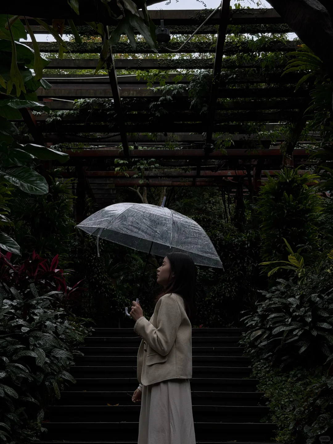 📍✅南宁三天两夜