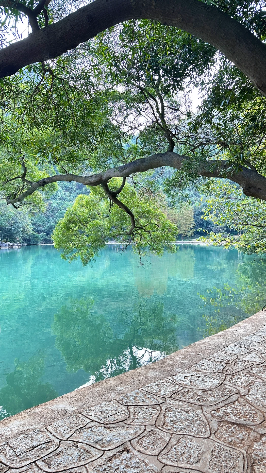 柳州📍这里不就是柳州版的九寨沟吗？！