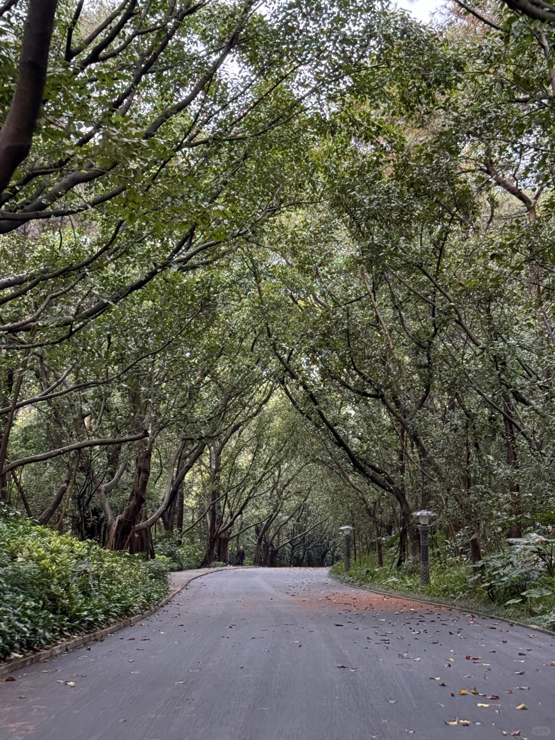📍✅南宁三天两夜