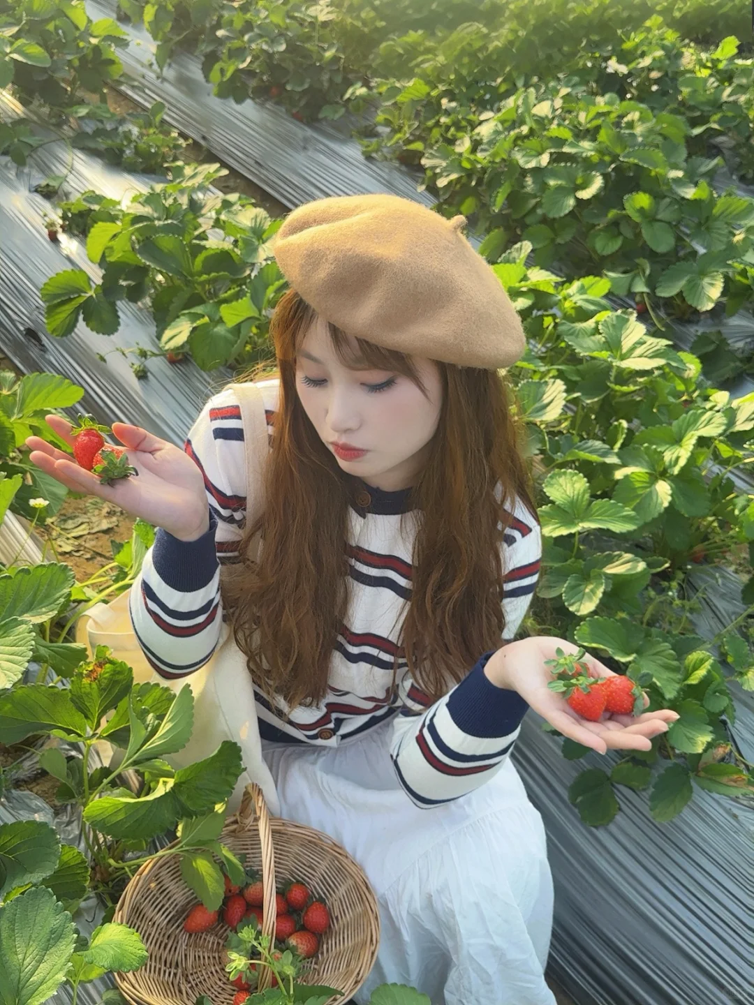 柳州、这天气太适合～摘草莓🍓了～