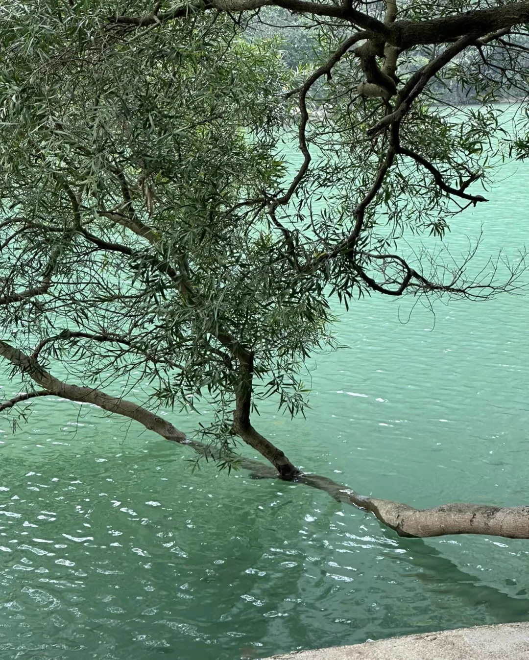 📍𝙇𝙞𝙪𝙕𝙝𝙤𝙪 柳州旅游发朋友圈文案