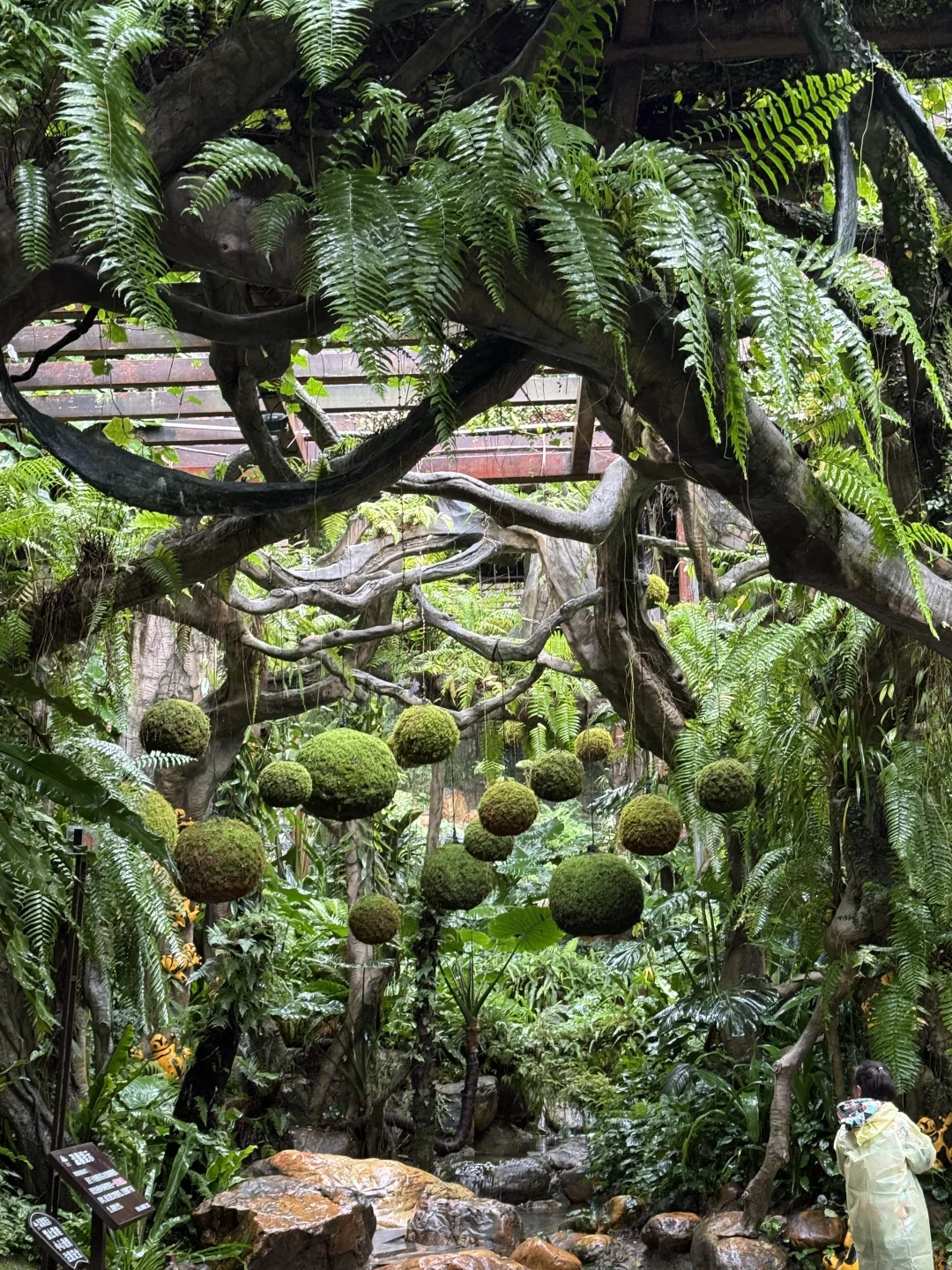 📍✅南宁三天两夜