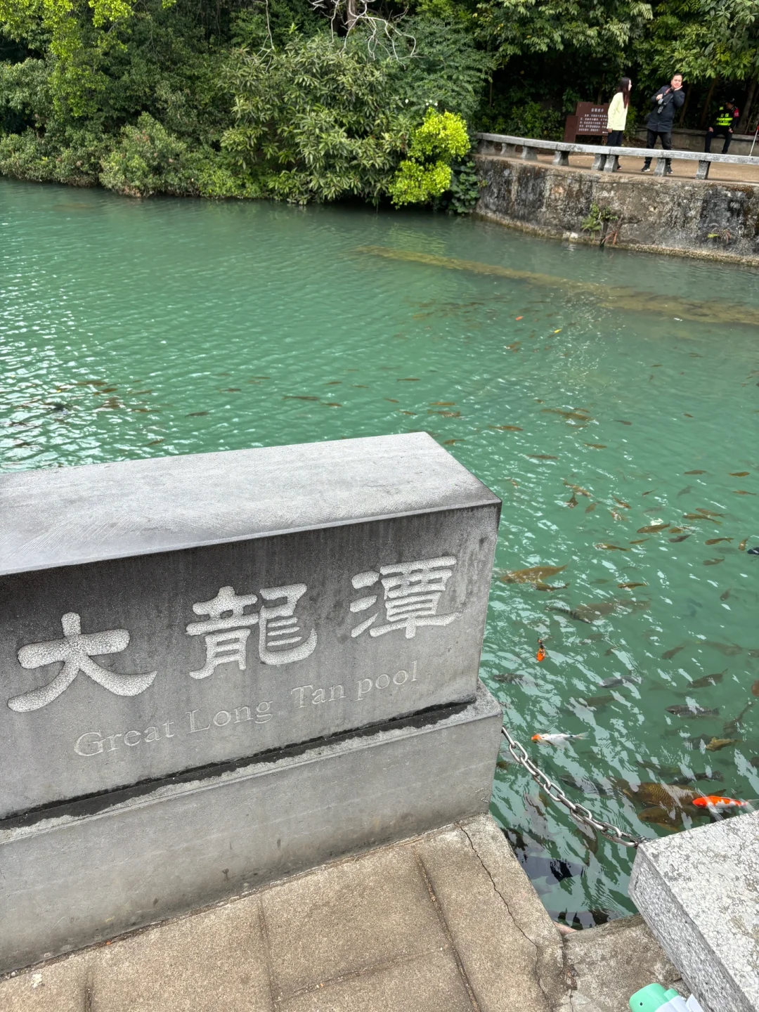 刚去完柳州｜随便问