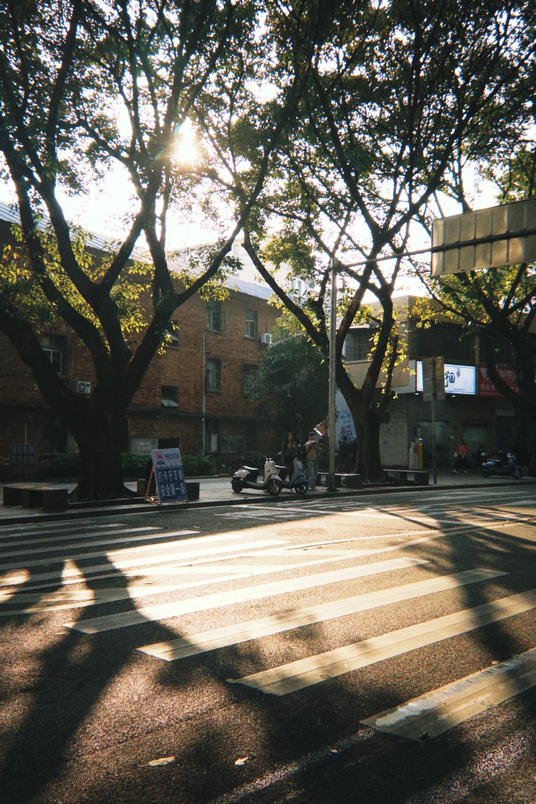 柳州｜光线好好～胶片也好好看🎞️