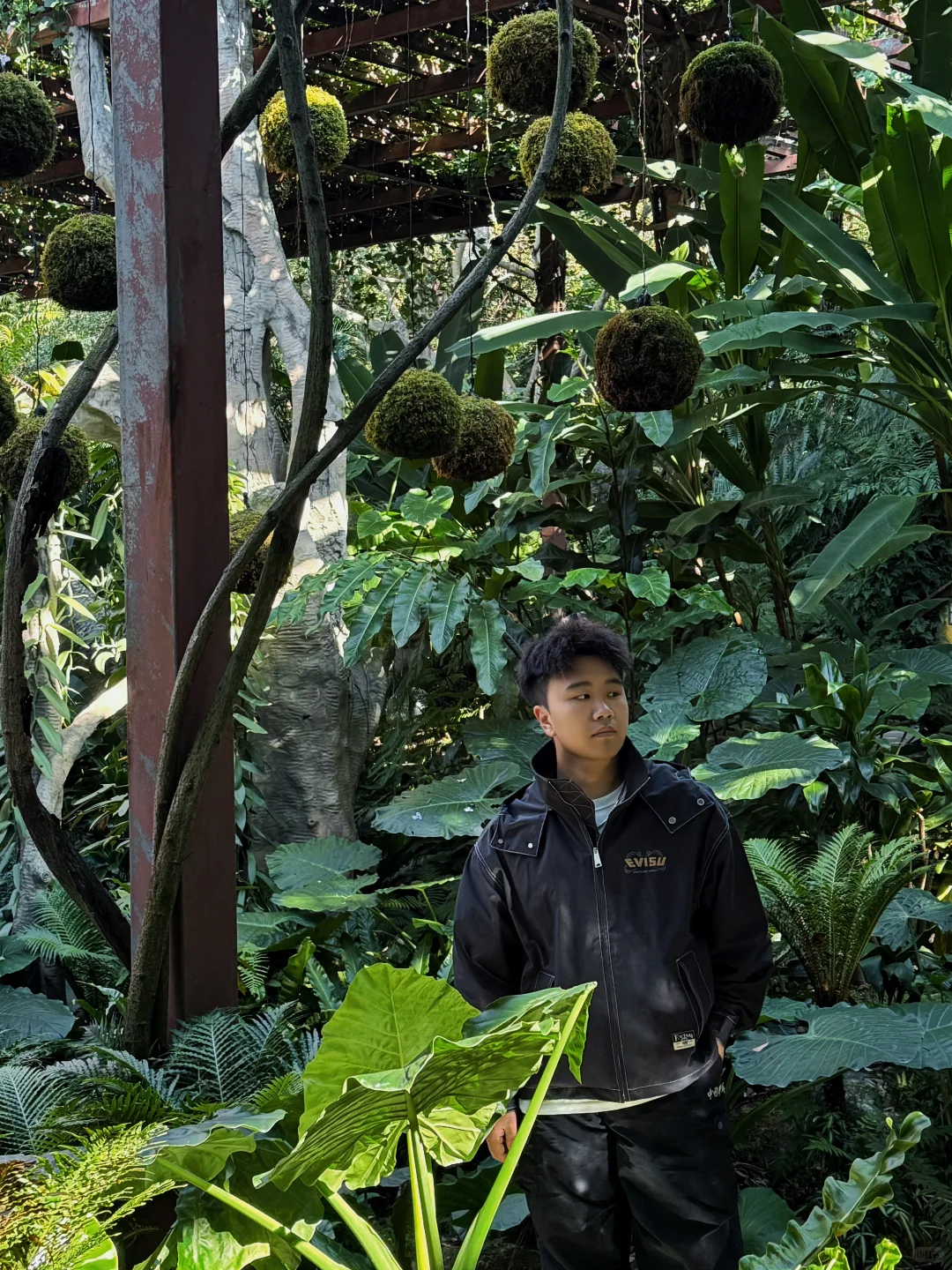 📍广西南宁｜青秀山｜萌生植物园｜森系男孩