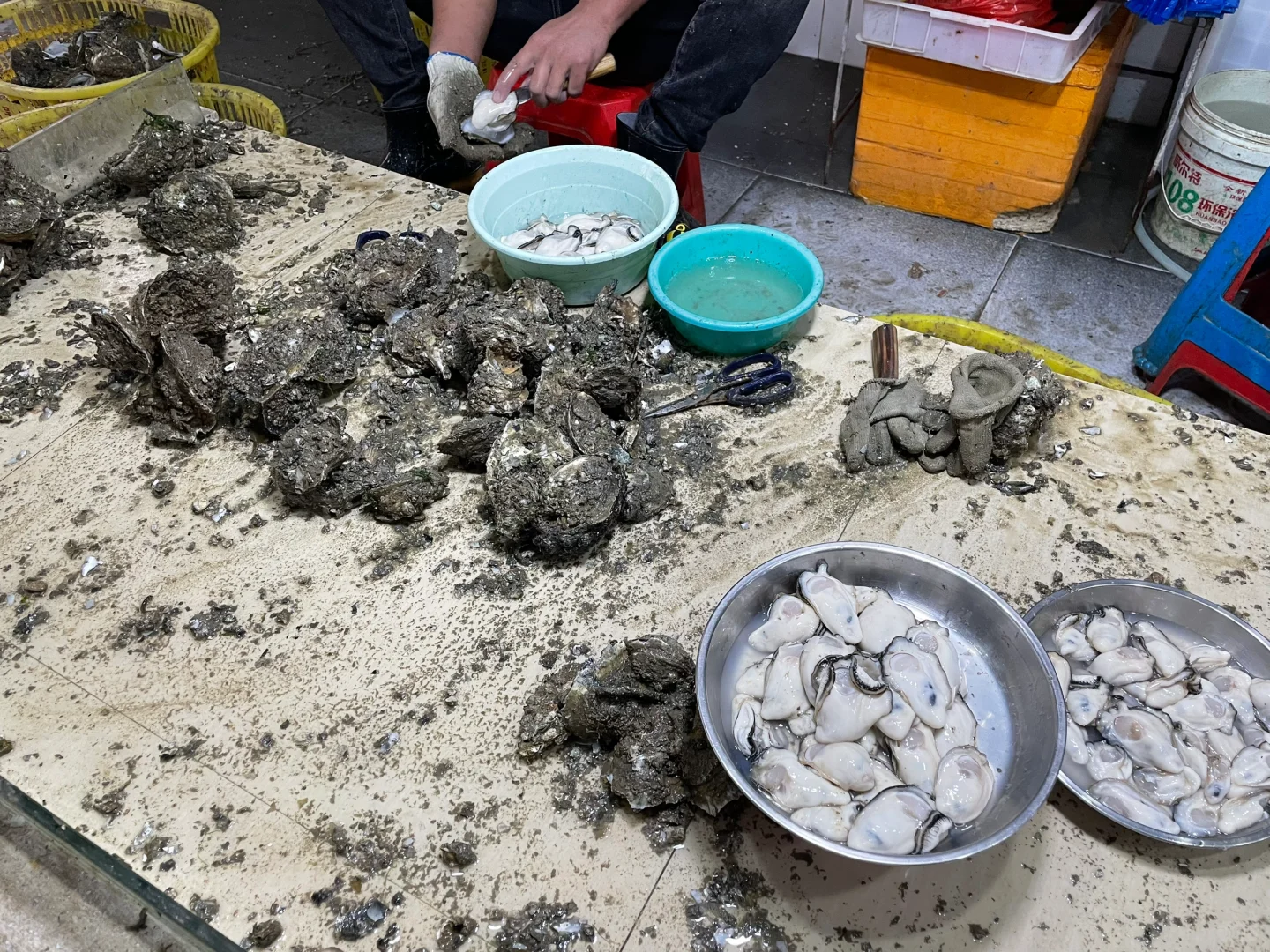 防城港回来了，说点大实话！