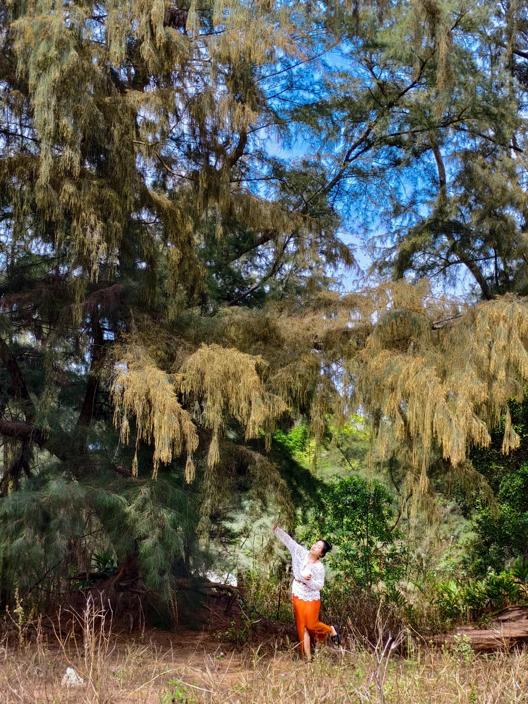 防城港！怎么拍都出片！！