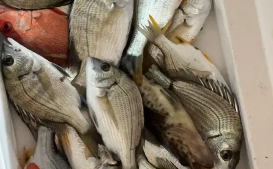 防城港海钓赶海