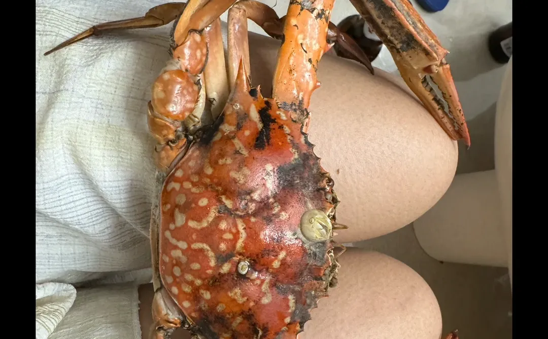 2024防城港暑期家庭游