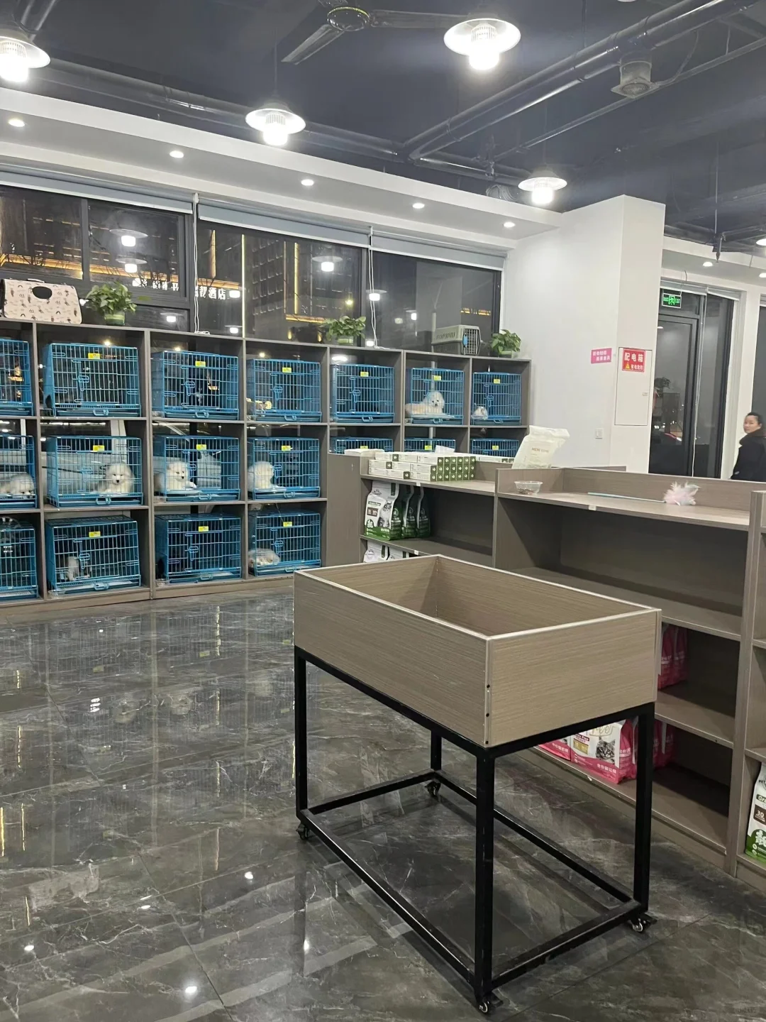 防城港靠谱宠物基地推荐 买宠零距离互动