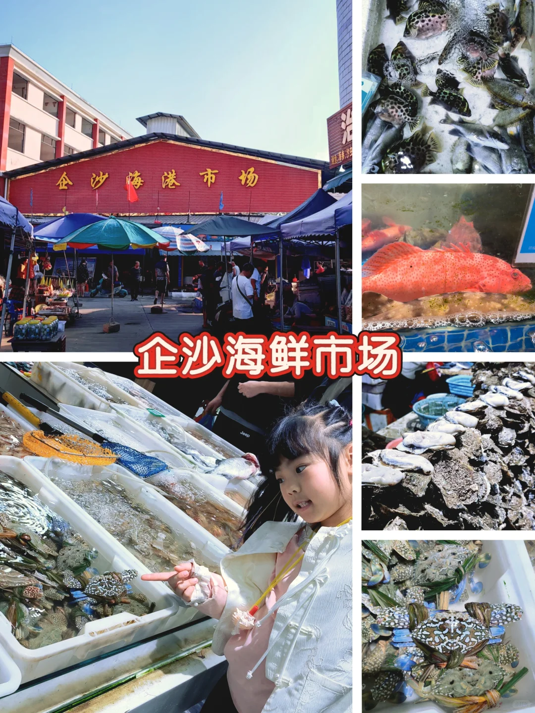 广西·防城港 | 比北海更适合遛娃的小众城市