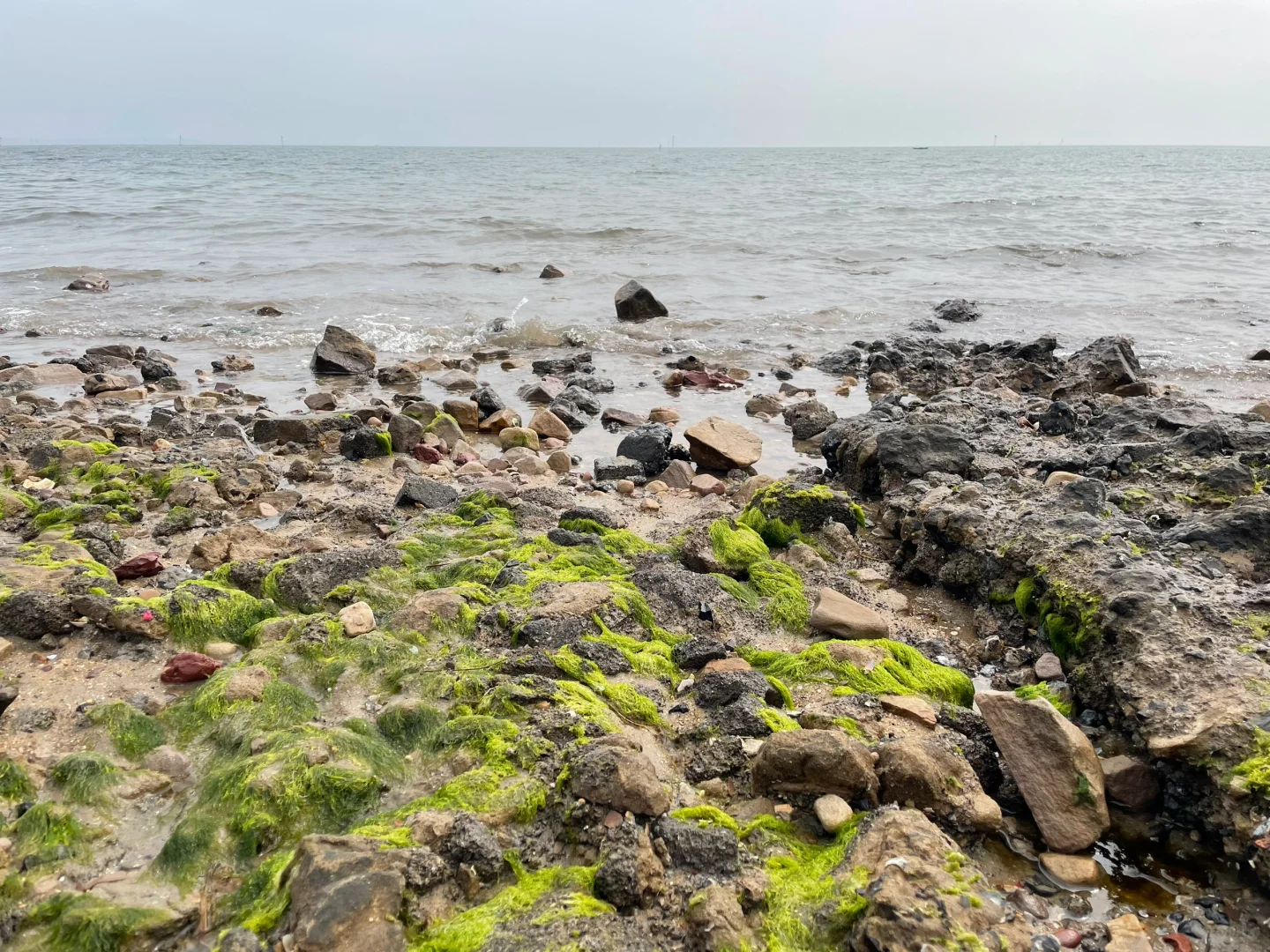 防城港回来了，说点大实话！