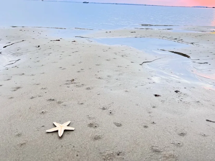 海岛日记☀️～防城港第二天
