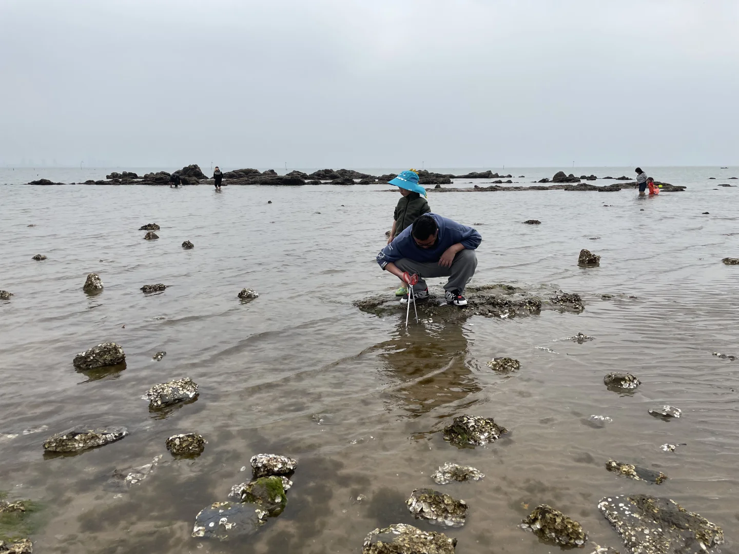防城港回来了，说点大实话！