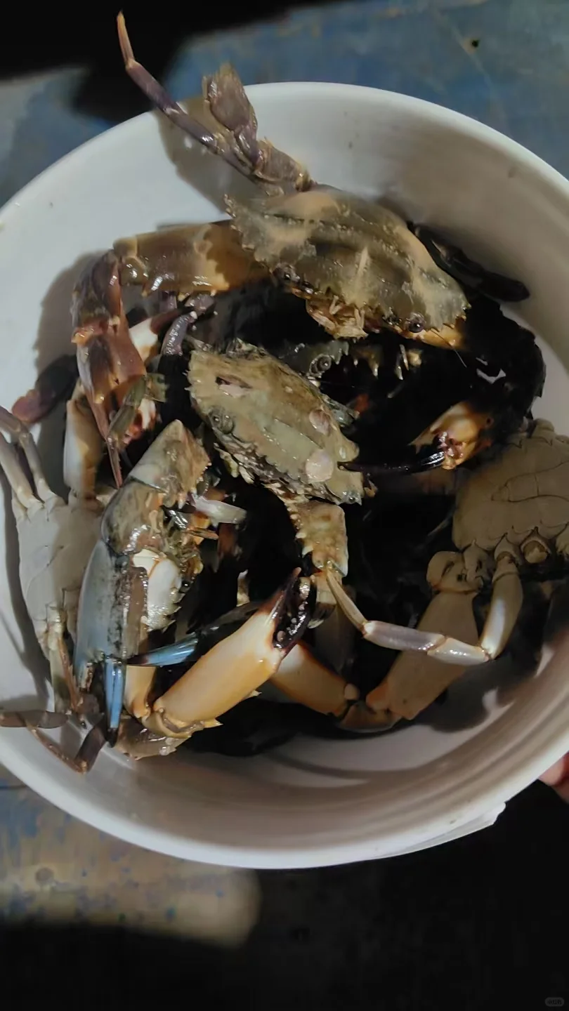 防城港海上平台畅钓12小时，自带帐篷可露营