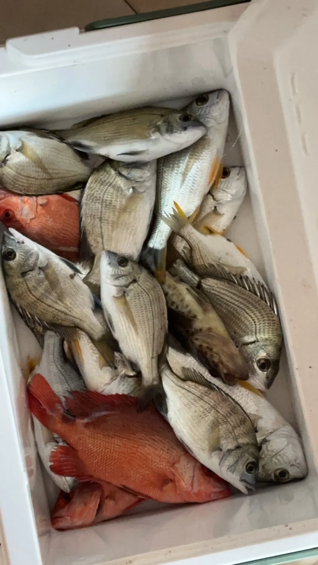 防城港海钓赶海