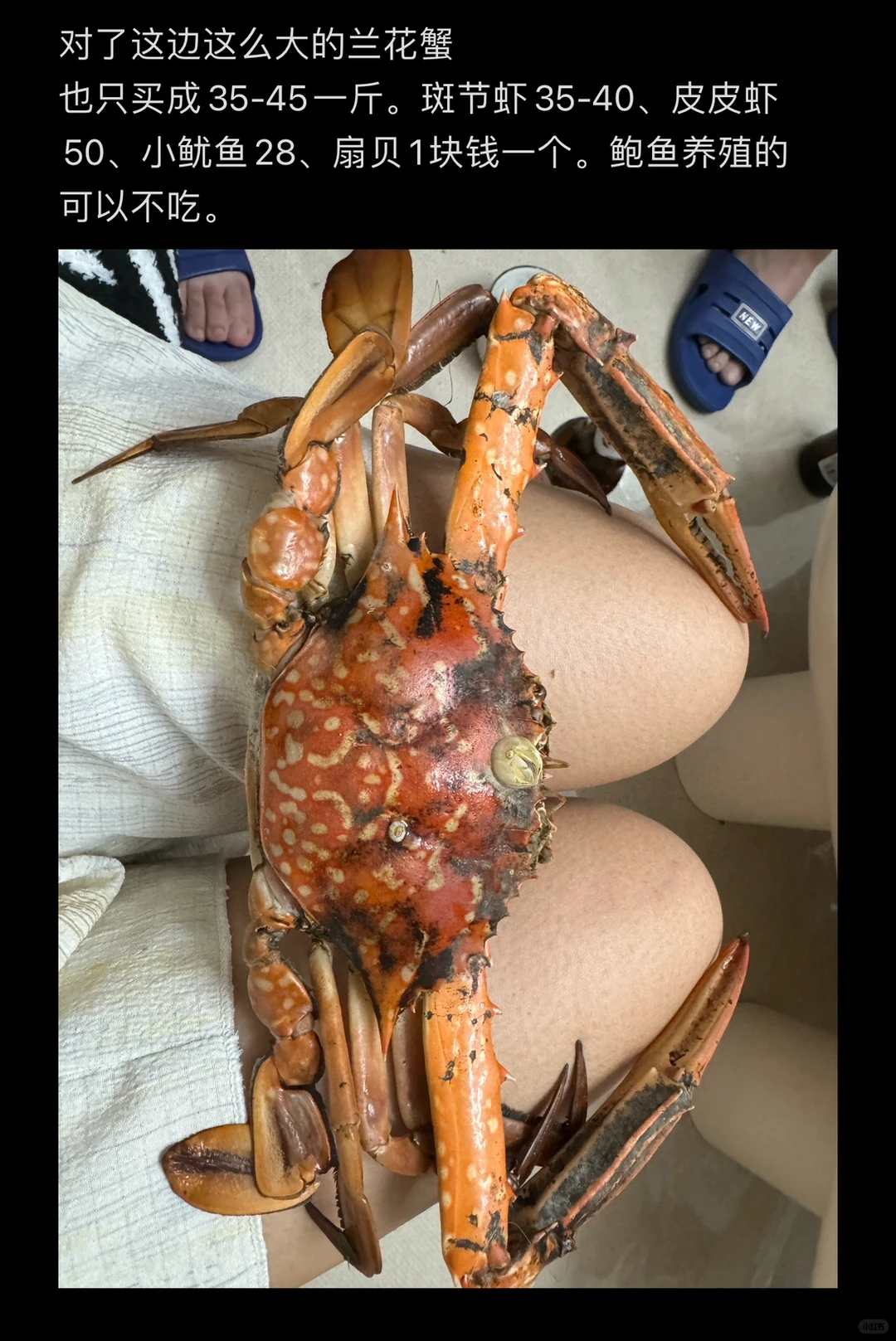 2024防城港暑期家庭游