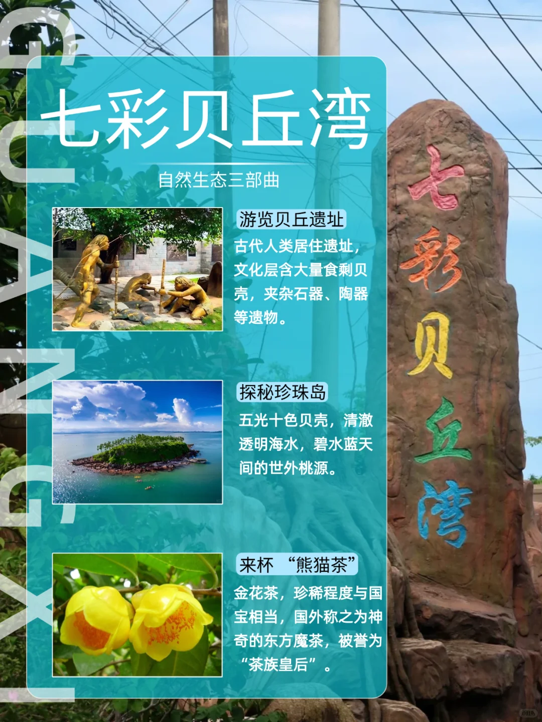 🔥防城港这康养旅居直接把养老躺成了度假